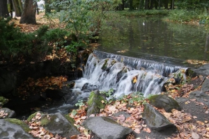 Jesień w Parku Żywieckim