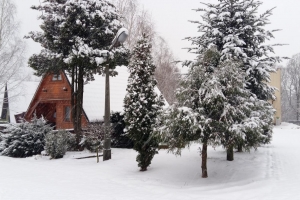 Beskidy  są piękne i majestatyczne w zimie, a w schronisku świąteczna atmosfera. - zdjęcie1