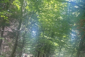 STUDENCI NA BESKIDZKICH SZLAKACH - zdjęcie9